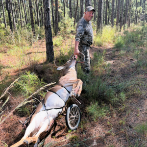 Whitetail Deer Harvest Image #6
