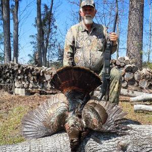 Spring Turkey Harvest Image #34