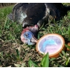 Mountain Side Turkey Combo-Glass/Slate Pot Call & Striker - Photo 5